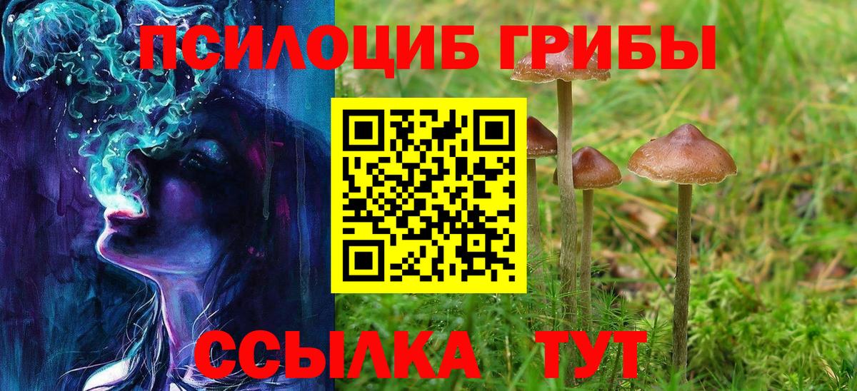 купить закладку  Псилоцибиновые грибы ЛСД  Галлюциногенные грибы Magic Shrooms  Вход с VPN  Еманжелинск 